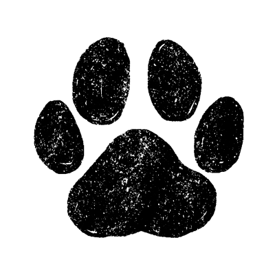 newicons-01